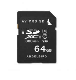 Carte SD V90 64 GB (Angelbird)